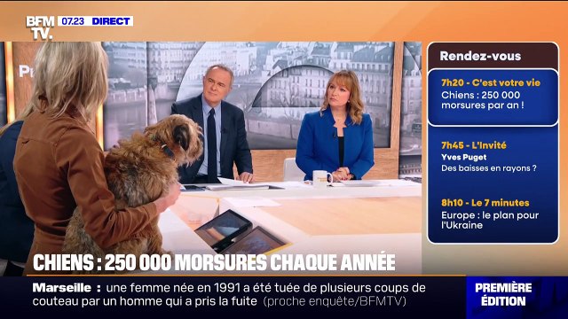 Il m'a sauté au visage : 250.000 morsures de chiens par an, un traumatisme pour les victimes