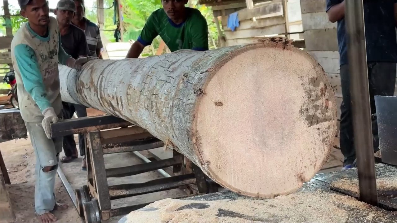 Techniques for Sawing a 5x7 Coconut Tree with a Sawmill Machine