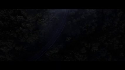 The Jolly Monkey Trailer OV