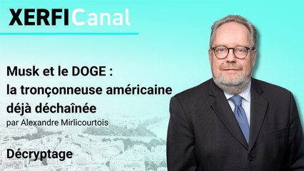 Musk et le DOGE : la tronçonneuse américaine déjà déchaînée [Alexandre Mirlicourtois]