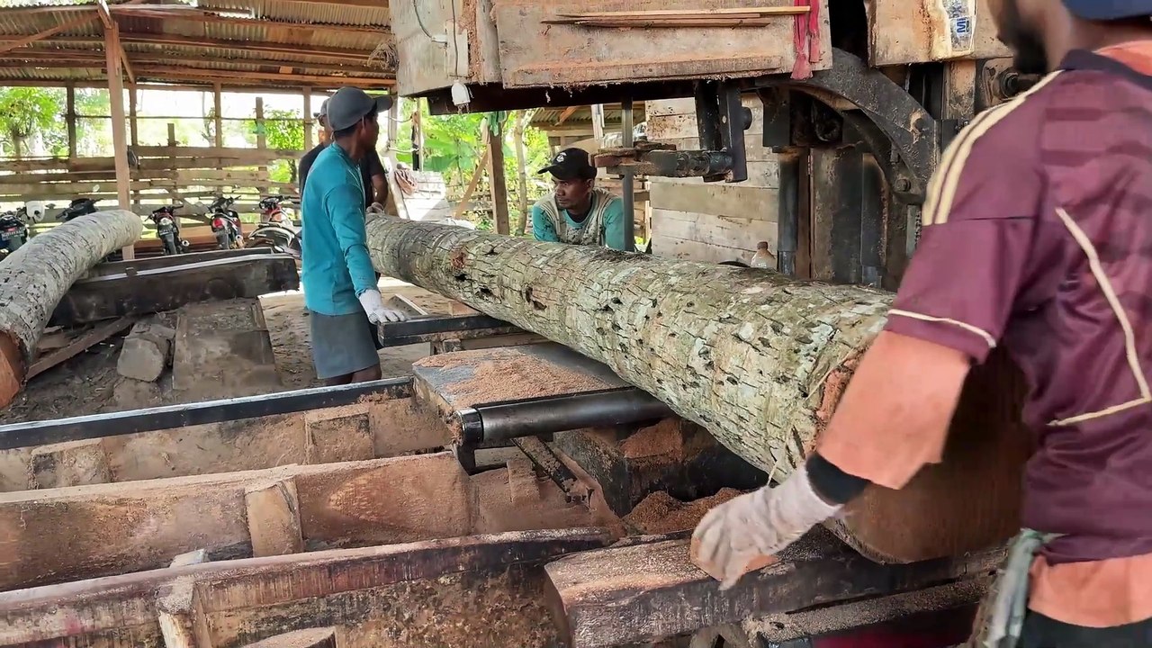 Efficiency of Sawmill in Cutting Coconut Trees to 2x20 Size
