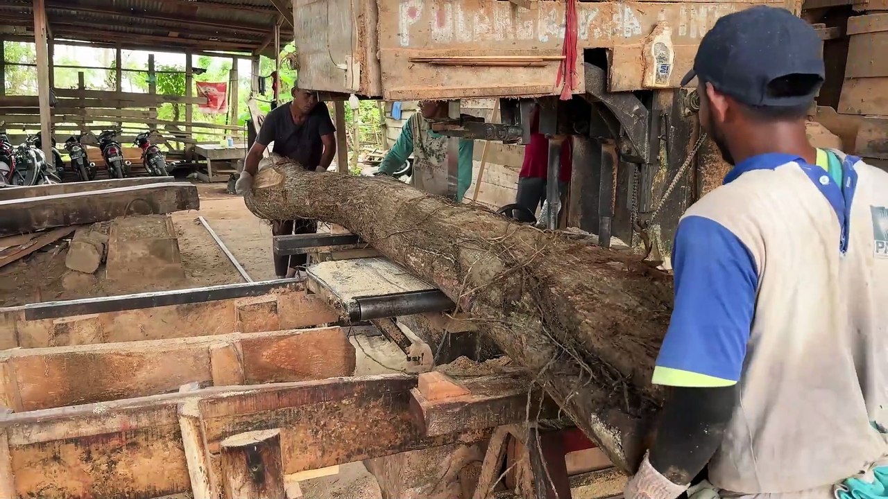 Choosing the Best Sawmill Machine for 2x20 Wood
