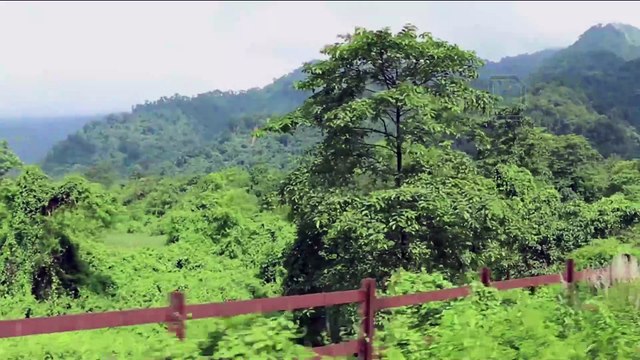 Travel to Darjeeling through fog covered roads