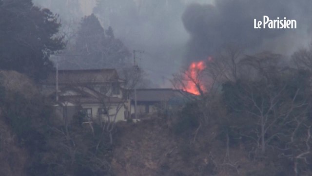 Le nord du Japon ravagé par des feux de forêts records