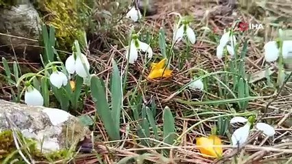 Türkiye'nin zirvesinde büyüleyen anlar: Karları ikinci kez deldiler!