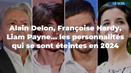 Alain Delon, Françoise Hardy, Liam Payne,... les personnalités qui se sont éteintes en 2024