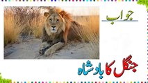 Paheliyan In Urdu With Answer - Riddles In Urdu & Hindi - Amazing Facts & Brain Facts In Urdu