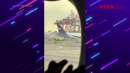 Pesawat Terbakar di Udara Gegara Ditabrak Burung