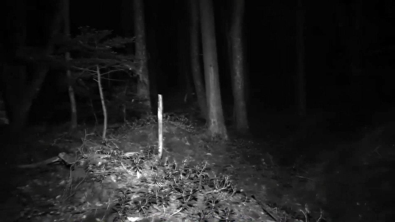 Sou oficial de busca e resgate do Serviço Florestal dos EUA, tenho algumas histórias para contar 10