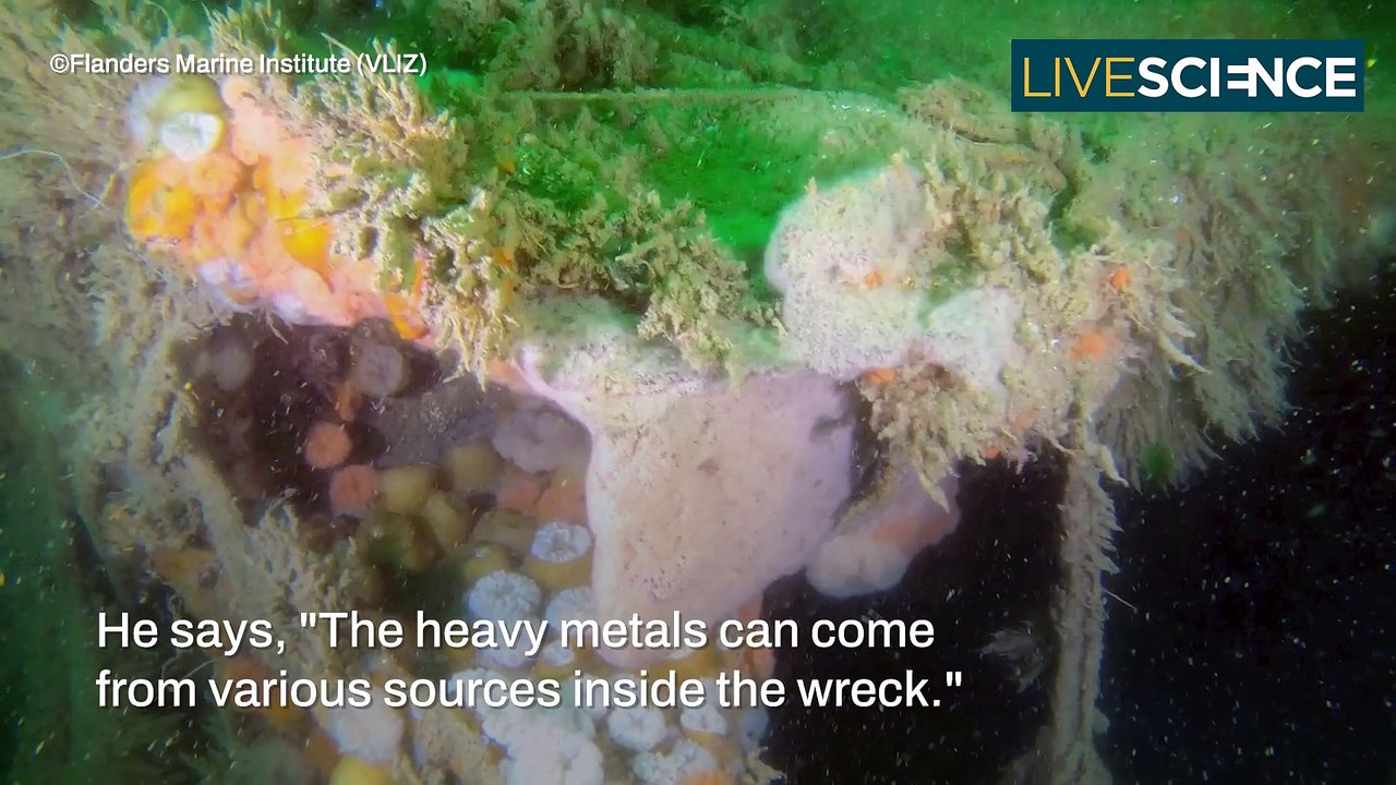 Leaking German Shipwreck From The 40's