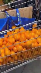 Fransa'da İsrail'e Karşı Boykot