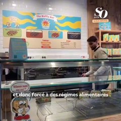 So Soir vous invite : dans un nouveau pop-up de gaufres véganes et protéinées à Bruxelles