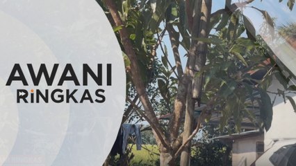 AWANI Ringkas: Siasatan polis | Penyelenggaraan