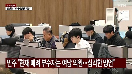 민주 "헌재 때려 부수자는 여당 의원...심각한 망언" / YTN