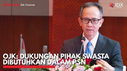 OJK: Dukungan Pihak Swasta Dibutuhkan Dalam PSN