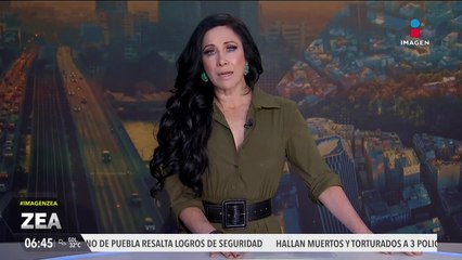 Perro es lanzado del tercer piso de un edificio en Cancún