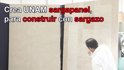 Sargapanel: Innovación para construir con sargazo