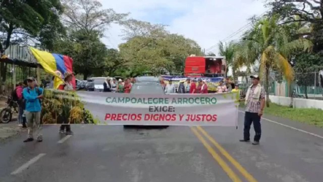 Arroceros anuncian paro indefinido por quiebra del sector: esto es lo que exigen
