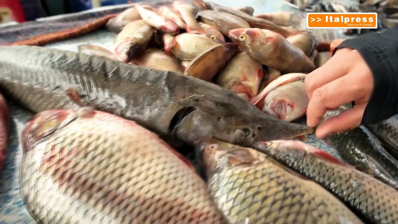Pesca, bilaterale Italia-Francia per strategie comuni