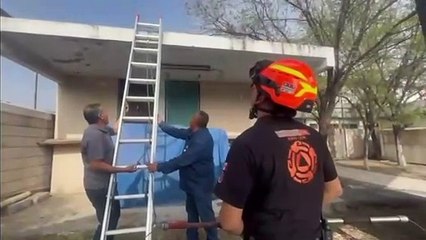 Rescatan a coyote atrapado en colegio de Monterrey