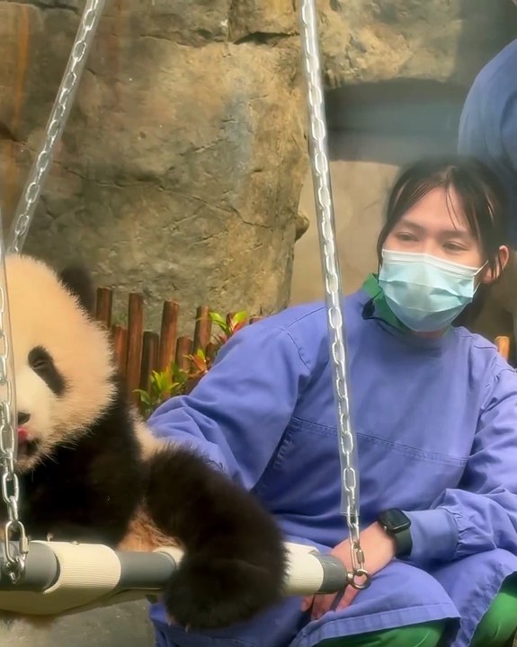 🐼 **Dive into the Adorable World of Pandas!** 🐼 Ever wondered what make