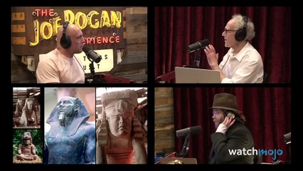 Top 10 Joe Rogan Guests That Broke the Internet