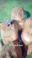 Stuck Between Boulders For A Phone?! 😱