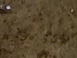 peche a la perche!!!!