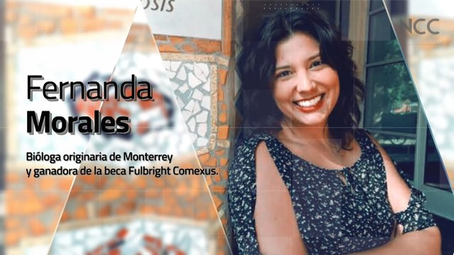 Reporte Climático 187 | Cuidar el agua en México ante una crisis hídrica: alcances y retos