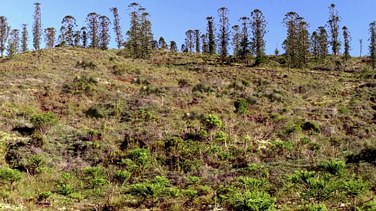 Caminando con Dinosaurios. 1 - Nueva Sangre (Latino)