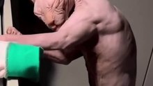 Top Amazing Moments 💯🔥 Awesome Videos  - EP 15