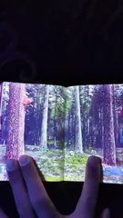 Un passeport Lettonien passé sous UV vous révèle ses secrets... magique