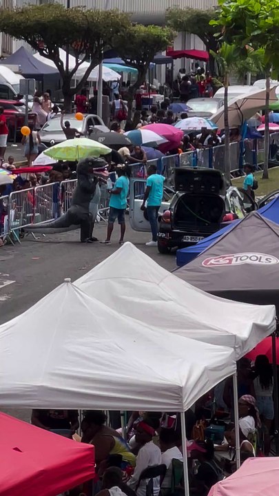 Présence du Chef & Président du Peuple des Kalinago de Guadeloupe à la Parade du Dimanche Gras 02 Mars 2025 Carnaval Pointe-à-Pitre Guadeloupe Groupe Direct Live
