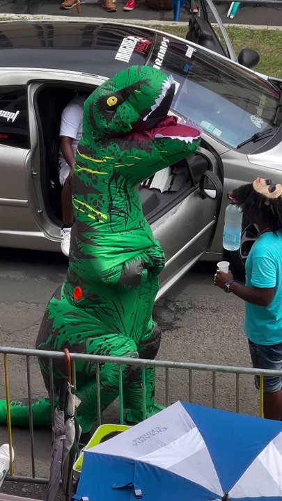 Présence du Chef & Président du Peuple des Kalinago de Guadeloupe à la Parade du Dimanche Gras 02 Mars 2025 Carnaval Pointe-à-Pitre Guadeloupe Groupe Direct Live