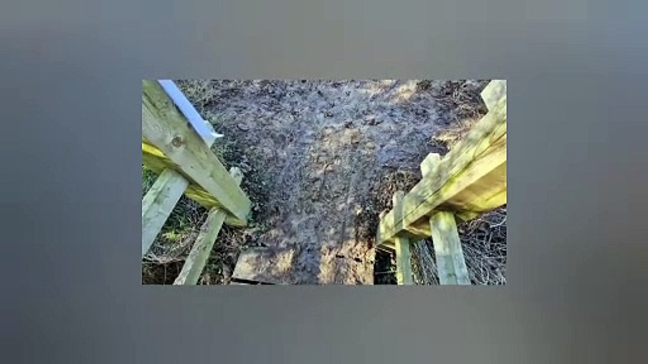 The Griffin Trail