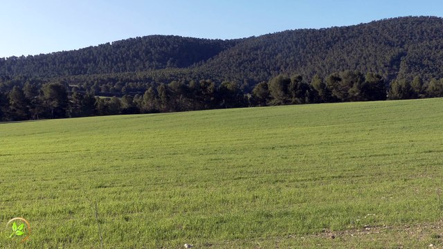 Episodio 008 - 21 minutos... 🌿 Viento en el Valle: Sonido Relajante de la Naturaleza para Meditar, Dormir y Concentrarse 🌿 | Disfruta del susurro del viento entre las montañas, el murmullo de los árboles y la paz de un valle abierto.