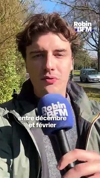 Rennes: 100.000 jeunes appelés à se faire vacciner contre la méningite