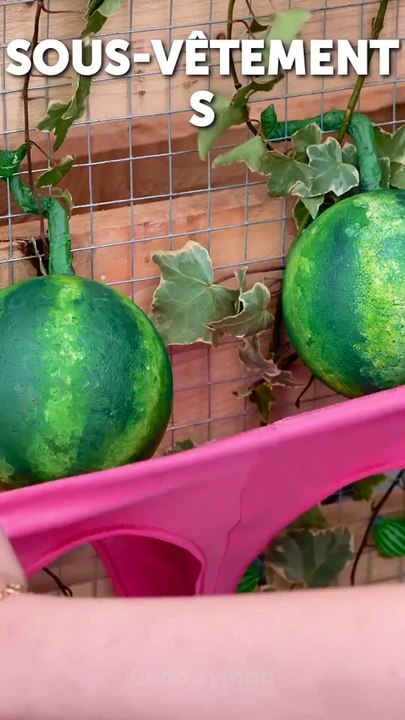 Les secrets d'un jardin luxuriant : Les ASTUCES du jardinage pour réussir !