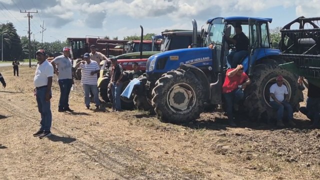 Productores de arroz en Chiriquí logran acuerdos parciales con el MIDA