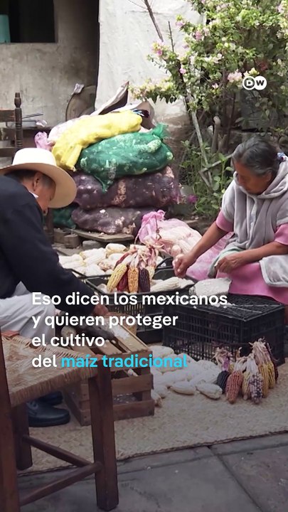 México quiere proteger su maíz