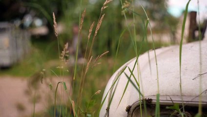 Five Paths | movie | 2025 | Official Trailer