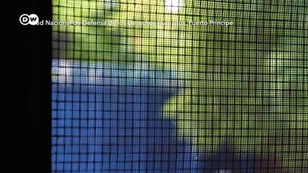 Haití, bajo el yugo de las pandillas | DW Documental