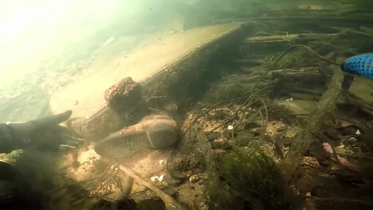 River Scuba Diving - Found Remains of 8 year old sunken boat