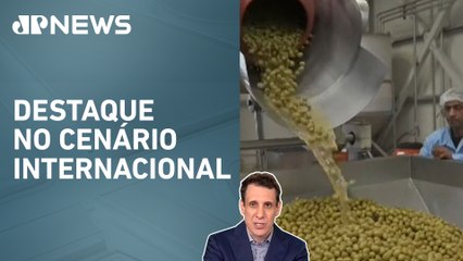 Samy Dana: Brasil está na 5ª posição do ranking de melhores azeites do mundo | IA News