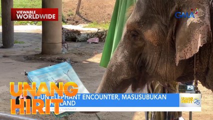 Elepante na nagpe-paint?! | Unang Hirit