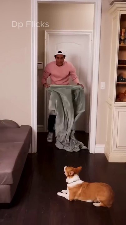 New Magic Update 🤯 Magic Tricks 🤯🔥