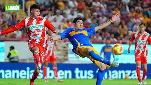 ¿Por qué Tigres corrió a Veljko Paunović? Willie González revela el motivo