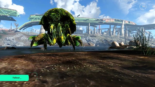 Prawdziwa historia radioaktywnych kotów