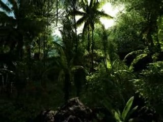 Crysis tweak jungle dx10 débridage du jeu