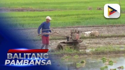 NIA, puspusan sa pag-alalay sa mga magsasaka ngayong panahon ng tag-init